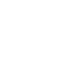 Stanford University
